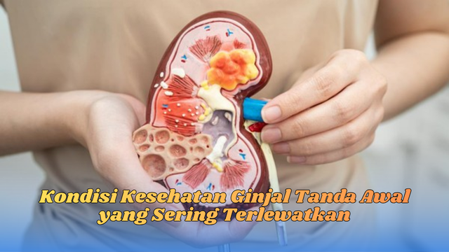 kondisi kesehatan ginjal