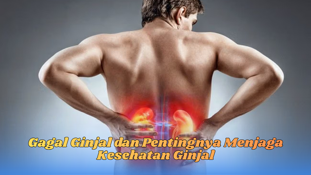 Gagal Ginjal dan Pentingnya Menjaga Kesehatan Ginjal